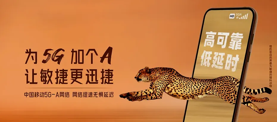 金湖县金湖县粮棉原种场 移动宽带